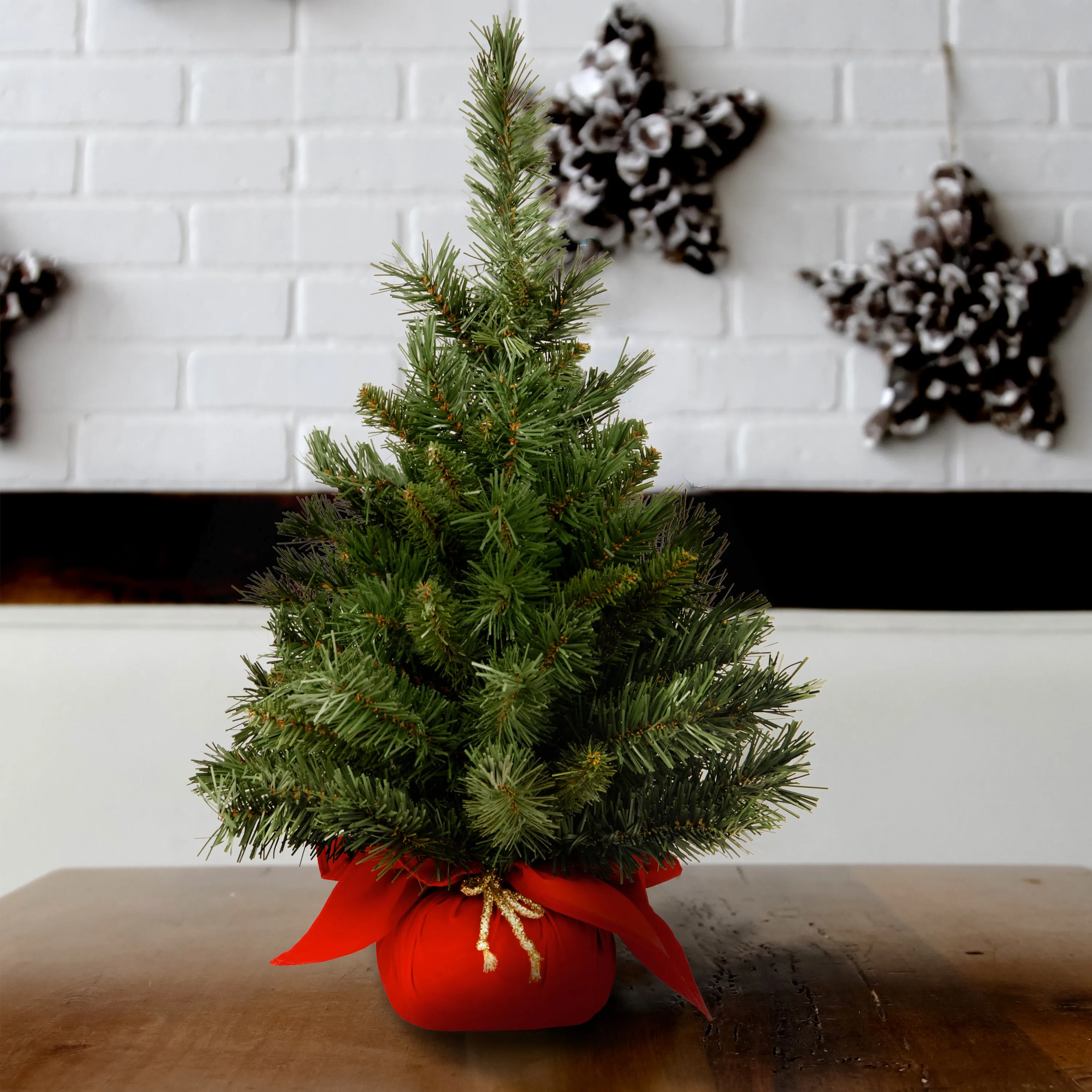 24 in. Majestic Fir Tree