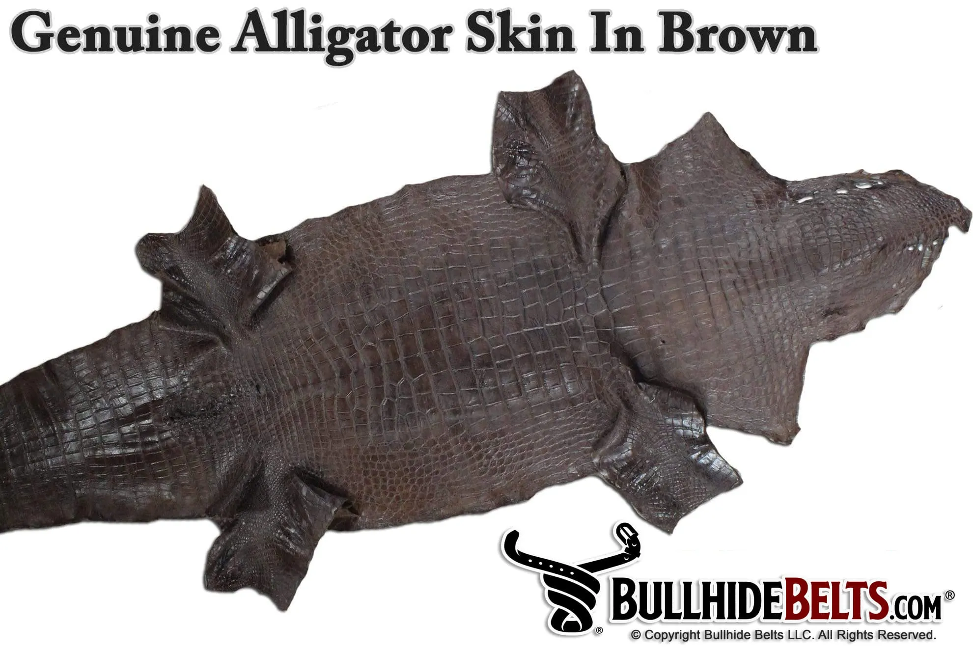 Brown Alligator Money Clip Wallet With Credit Card Slots