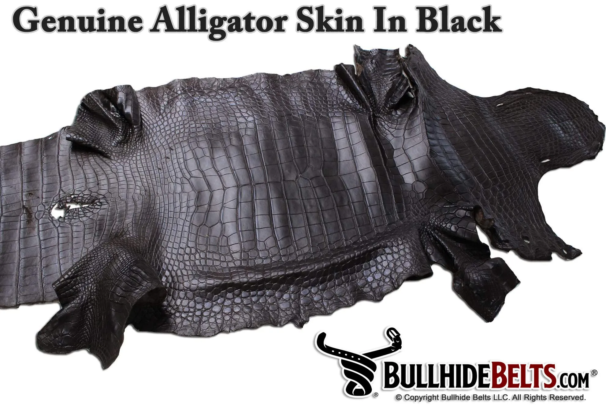 Brown Alligator Money Clip Wallet With Credit Card Slots