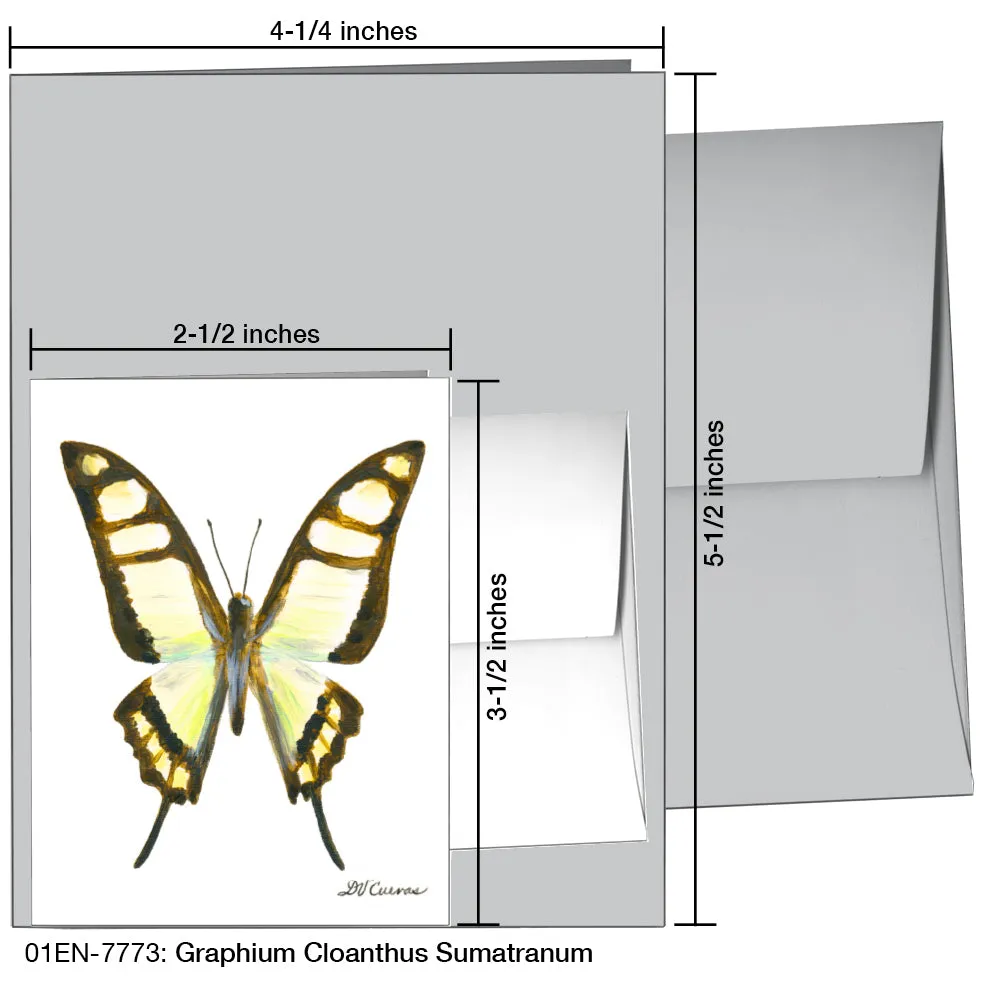 Graphium Cloanthus Sumatranum, Greeting Card (7773)