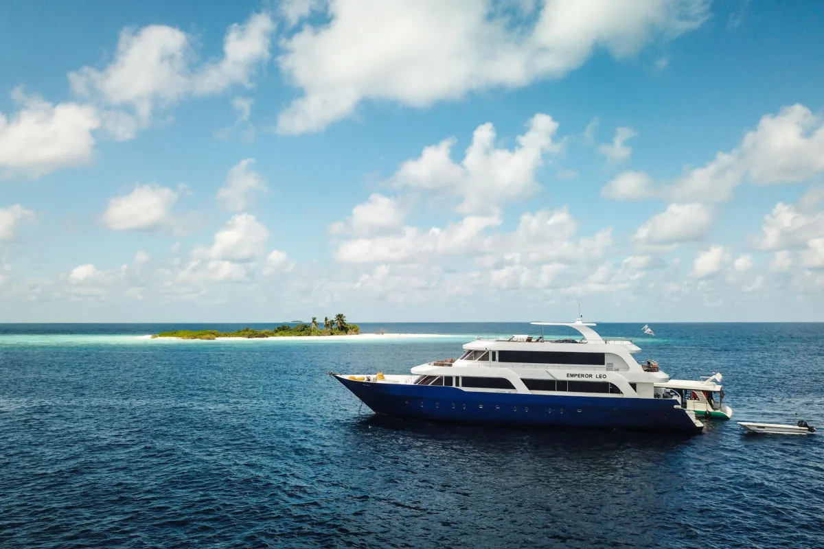 Liveaboard Deep South Maldives February 2025