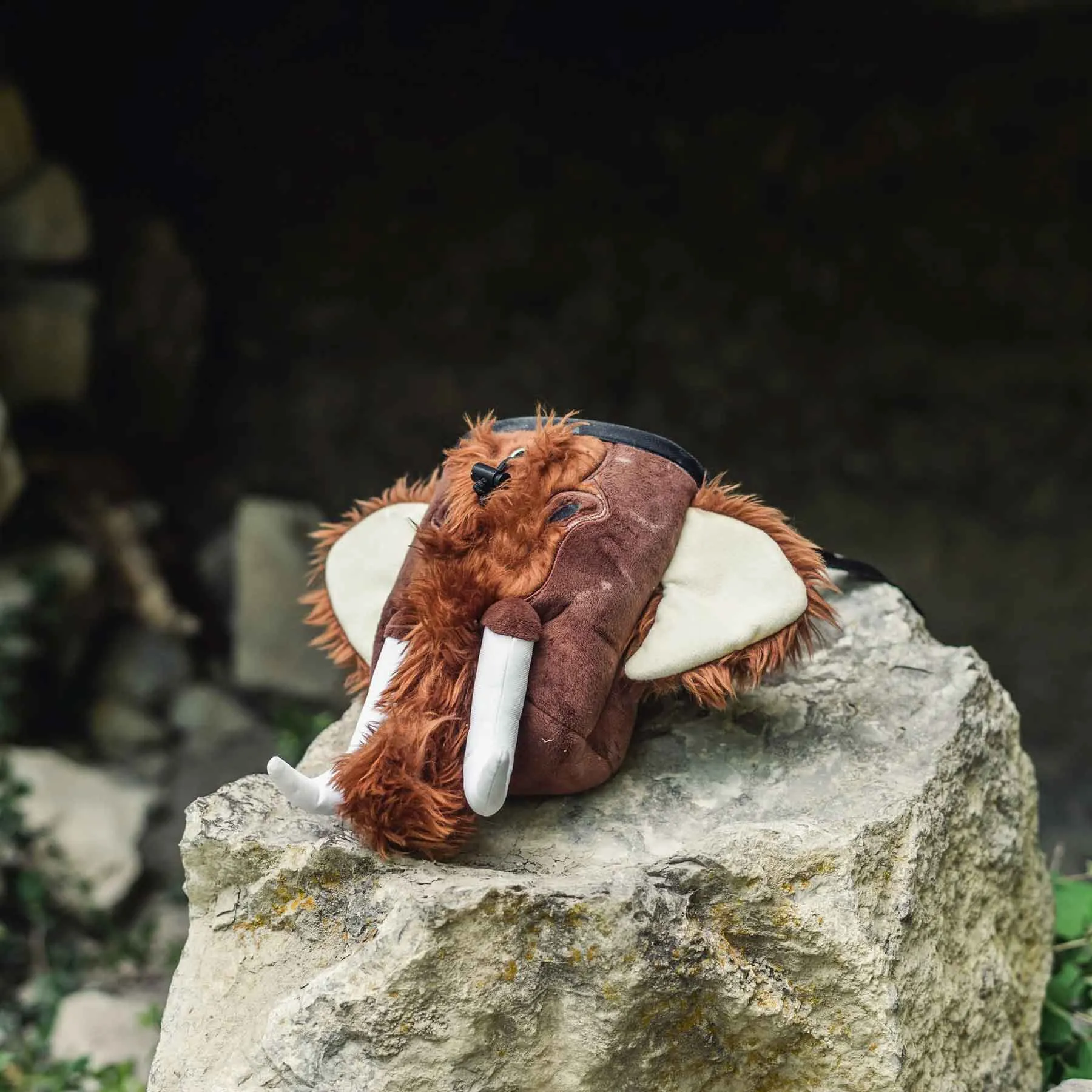 Mammoth Climbing Chalk Bag