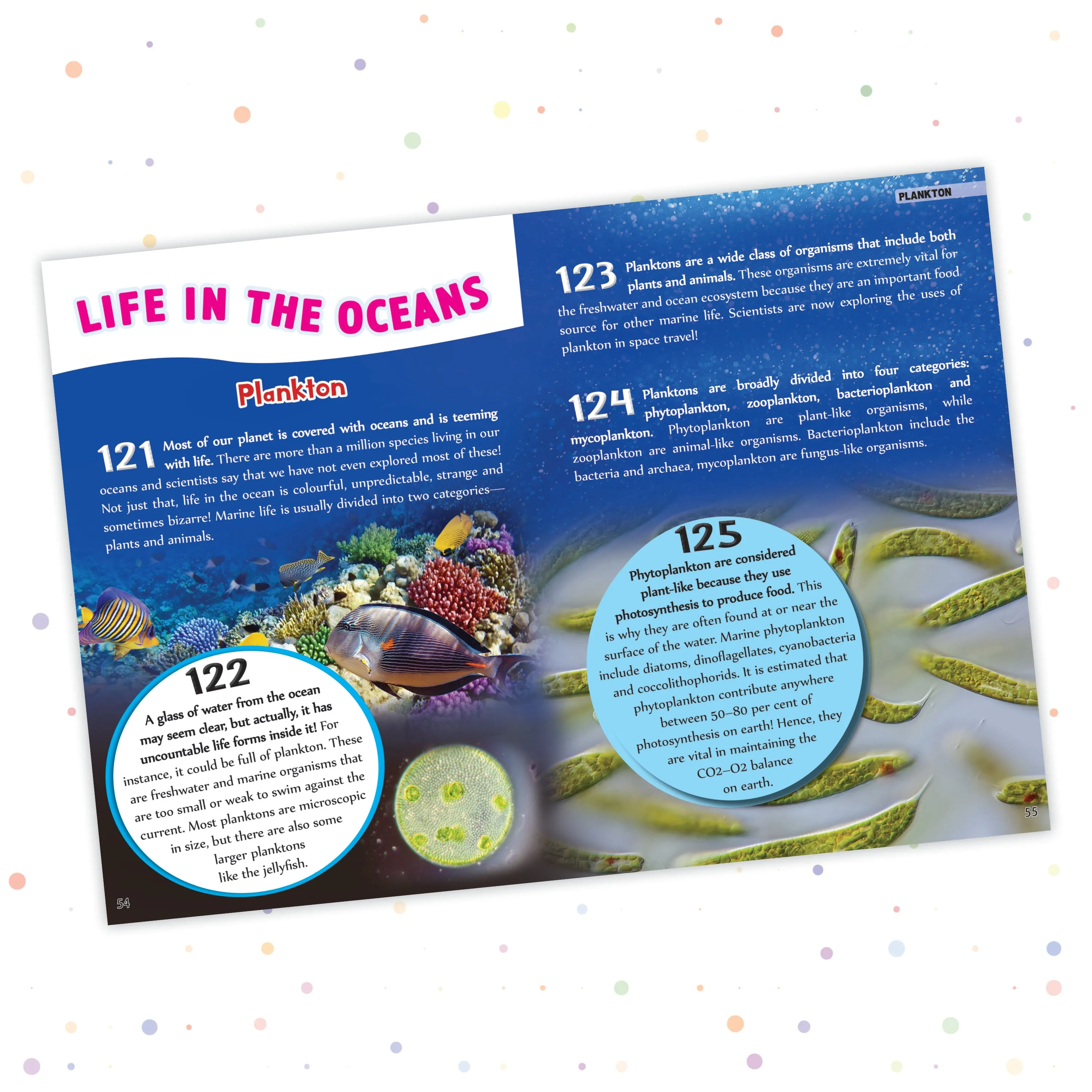 Pegasus Sea World -- 500 Facts for Kids